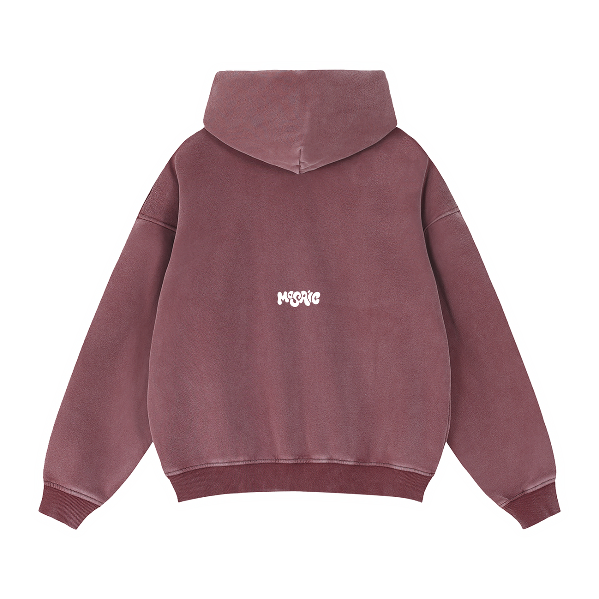 Salamander Zipper Hoodie 01
